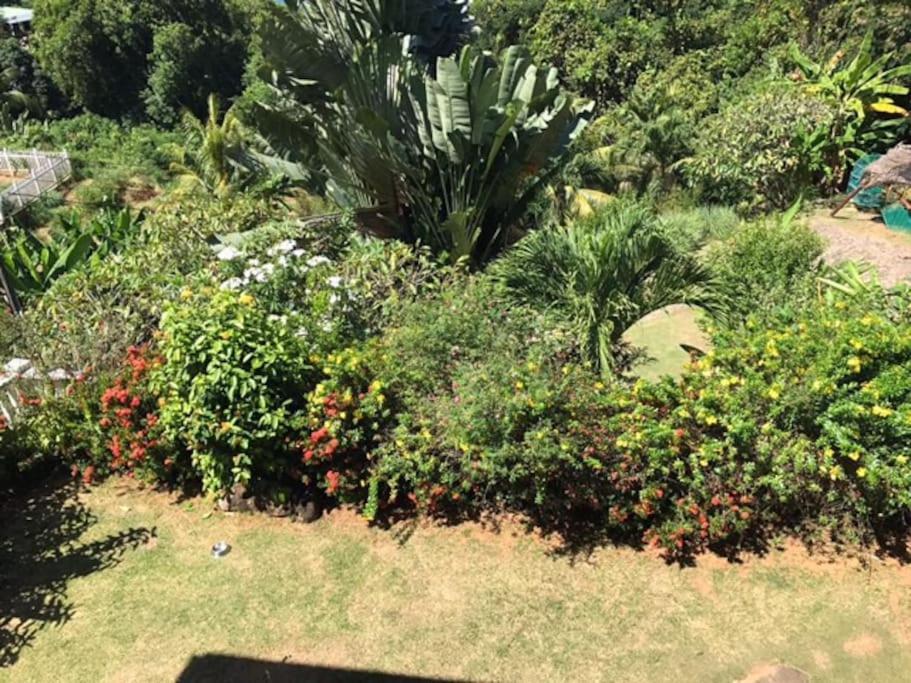Hilltop South - Villa Bougainville Takamaka Exterior foto